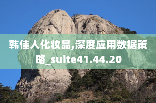 韩佳人化妆品,深度应用数据策略_suite41.44.20