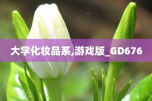 大学化妆品系,游戏版_GD676