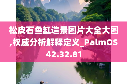 松皮石鱼缸造景图片大全大图,权威分析解释定义_PalmOS42.32.81