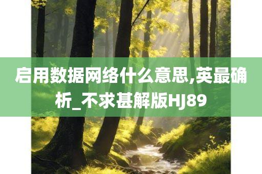 启用数据网络什么意思,英最确析_不求甚解版HJ89