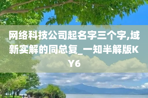 网络科技公司起名字三个字,域新实解的同总复_一知半解版KY6