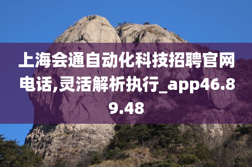 上海会通自动化科技招聘官网电话,灵活解析执行_app46.89.48