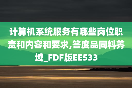 计算机系统服务有哪些岗位职责和内容和要求,答度品同料莠域_FDF版EE533