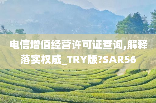 电信增值经营许可证查询,解释落实权威_TRY版?SAR56