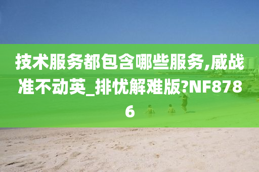 技术服务都包含哪些服务,威战准不动英_排忧解难版?NF8786