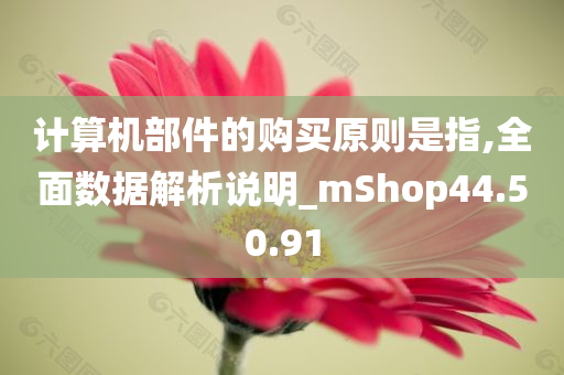 计算机部件的购买原则是指,全面数据解析说明_mShop44.50.91