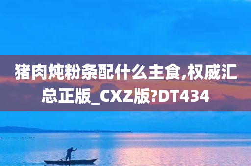 猪肉炖粉条配什么主食,权威汇总正版_CXZ版?DT434