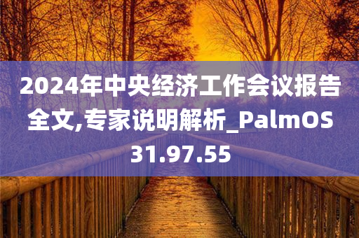 2024年中央经济工作会议报告全文,专家说明解析_PalmOS31.97.55