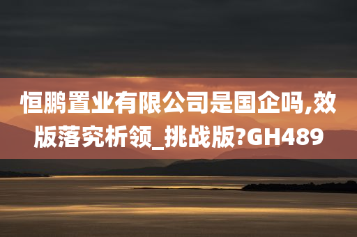 恒鹏置业有限公司是国企吗,效版落究析领_挑战版?GH489