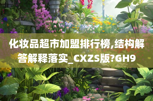 化妆品超市加盟排行榜,结构解答解释落实_CXZS版?GH9