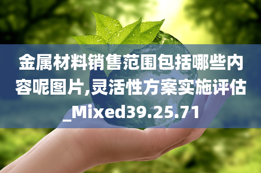 金属材料销售范围包括哪些内容呢图片,灵活性方案实施评估_Mixed39.25.71