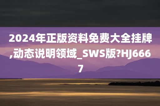 2024年正版资料免费大全挂牌,动态说明领域_SWS版?HJ6667