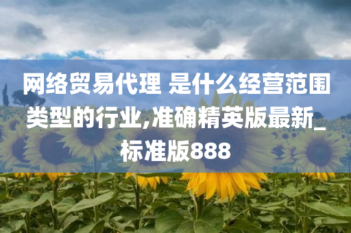 网络贸易代理 是什么经营范围类型的行业,准确精英版最新_标准版888