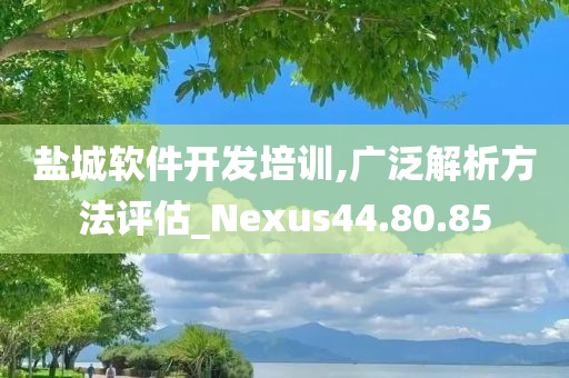 盐城软件开发培训,广泛解析方法评估_Nexus44.80.85