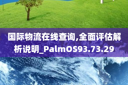 国际物流在线查询,全面评估解析说明_PalmOS93.73.29