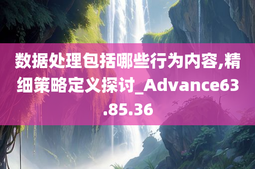 数据处理包括哪些行为内容,精细策略定义探讨_Advance63.85.36