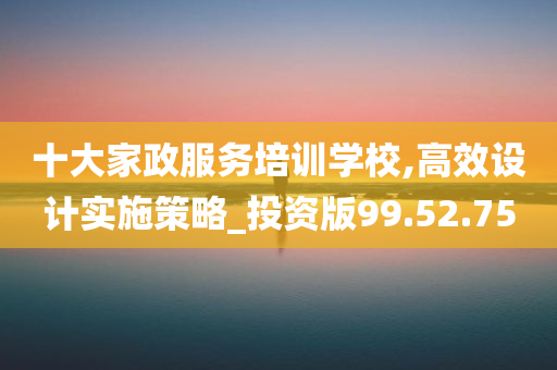 十大家政服务培训学校,高效设计实施策略_投资版99.52.75