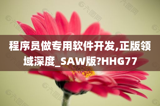 程序员做专用软件开发,正版领域深度_SAW版?HHG77