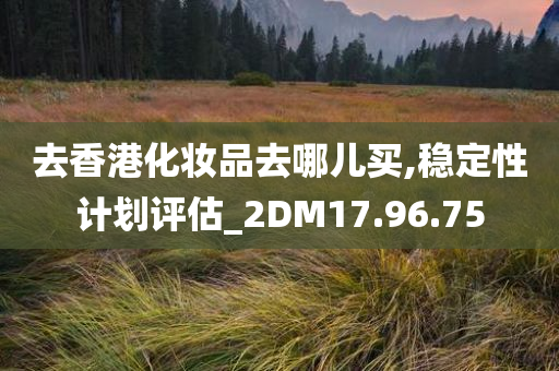 去香港化妆品去哪儿买,稳定性计划评估_2DM17.96.75