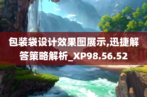 包装袋设计效果图展示,迅捷解答策略解析_XP98.56.52