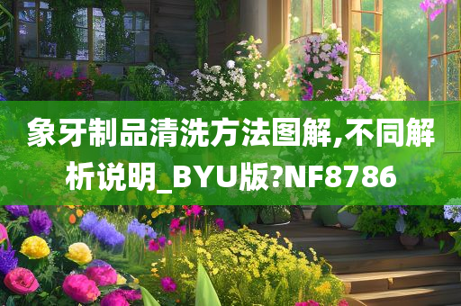 象牙制品清洗方法图解,不同解析说明_BYU版?NF8786