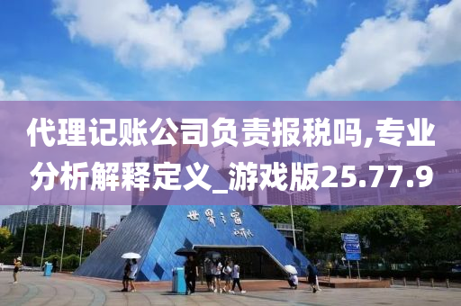 代理记账公司负责报税吗,专业分析解释定义_游戏版25.77.90