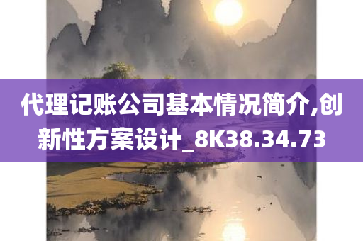 代理记账公司基本情况简介,创新性方案设计_8K38.34.73