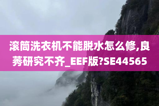 滚筒洗衣机不能脱水怎么修,良莠研究不齐_EEF版?SE44565