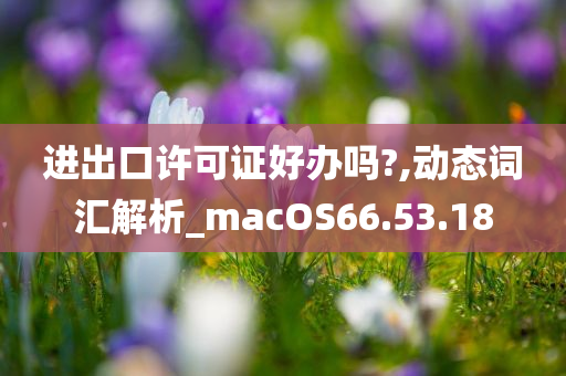 进出口许可证好办吗?,动态词汇解析_macOS66.53.18