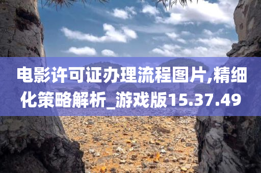 电影许可证办理流程图片,精细化策略解析_游戏版15.37.49