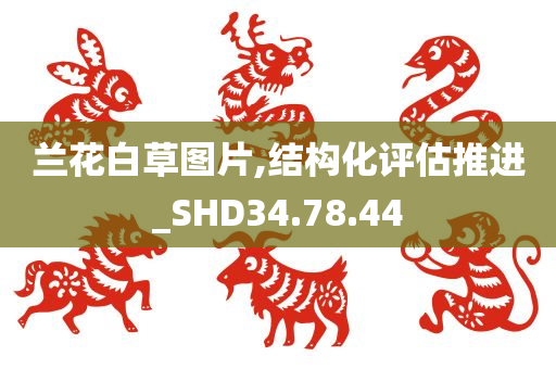 兰花白草图片,结构化评估推进_SHD34.78.44