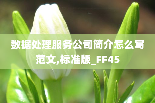 数据处理服务公司简介怎么写范文,标准版_FF45