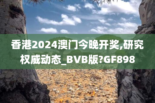 香港2024澳门今晚开奖,研究权威动态_BVB版?GF898