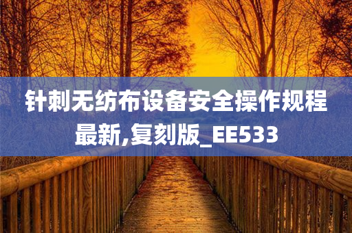 针刺无纺布设备安全操作规程最新,复刻版_EE533