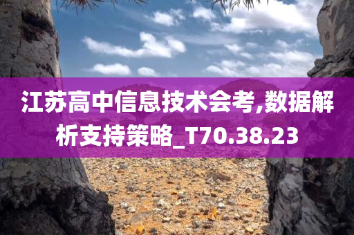 江苏高中信息技术会考,数据解析支持策略_T70.38.23