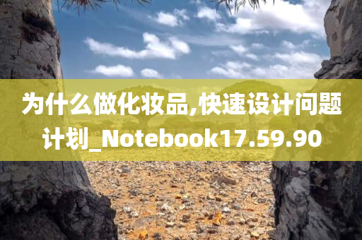 为什么做化妆品,快速设计问题计划_Notebook17.59.90