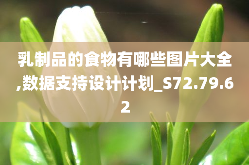 乳制品的食物有哪些图片大全,数据支持设计计划_S72.79.62