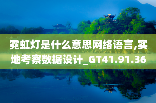 霓虹灯是什么意思网络语言,实地考察数据设计_GT41.91.36