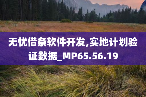 无忧借条软件开发,实地计划验证数据_MP65.56.19