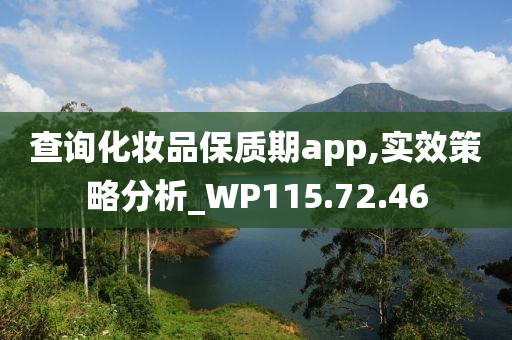 查询化妆品保质期app,实效策略分析_WP115.72.46