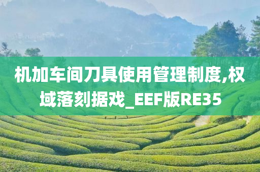 机加车间刀具使用管理制度,权域落刻据戏_EEF版RE35