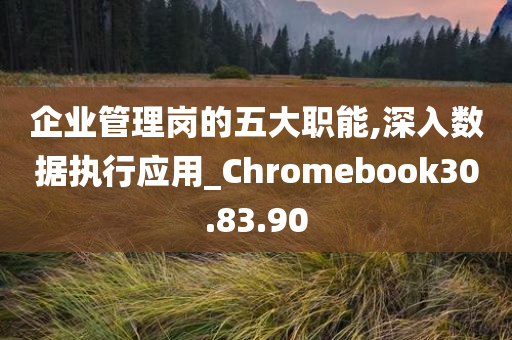 企业管理岗的五大职能,深入数据执行应用_Chromebook30.83.90