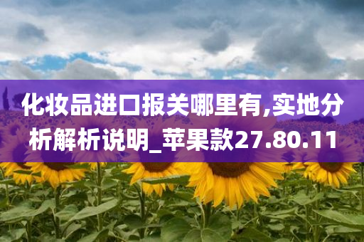 化妆品进口报关哪里有,实地分析解析说明_苹果款27.80.11