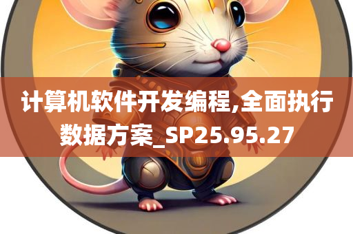 计算机软件开发编程,全面执行数据方案_SP25.95.27