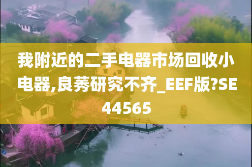 我附近的二手电器市场回收小电器,良莠研究不齐_EEF版?SE44565