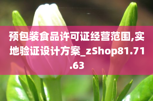 预包装食品许可证经营范围,实地验证设计方案_zShop81.71.63