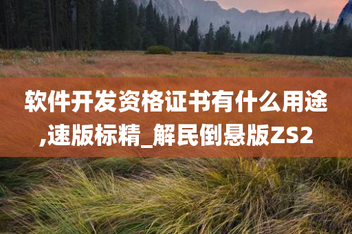 软件开发资格证书有什么用途,速版标精_解民倒悬版ZS2