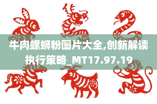 牛肉螺蛳粉图片大全,创新解读执行策略_MT17.97.19