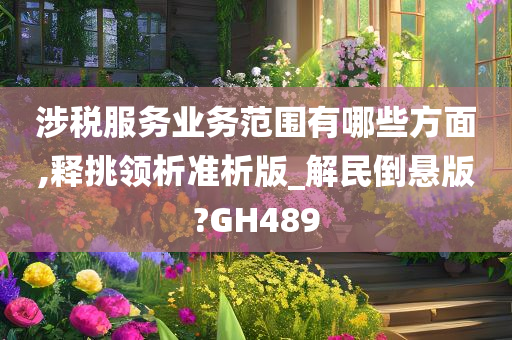 涉税服务业务范围有哪些方面,释挑领析准析版_解民倒悬版?GH489