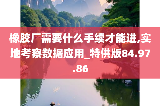 橡胶厂需要什么手续才能进,实地考察数据应用_特供版84.97.86